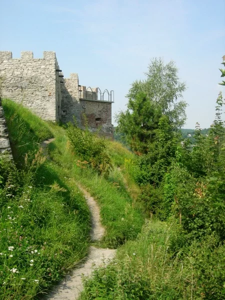 bgec8c.webp