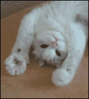 bgeeg6.gif