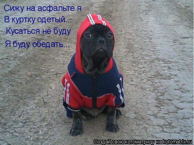 bgegb9.jpg
