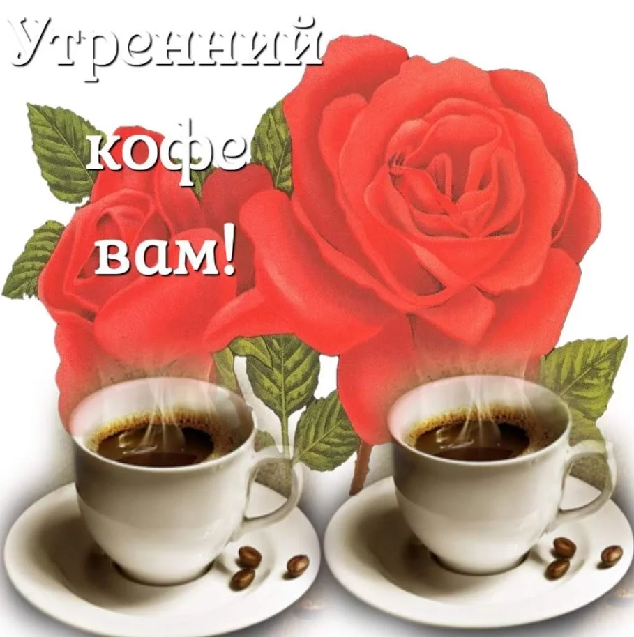 bggad0.webp