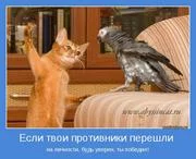 bghfb7.webp