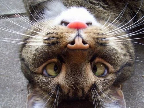 BGrMqESCIAAiTI4.webp
