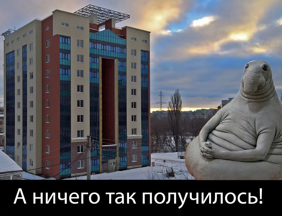 bh2hbf.webp