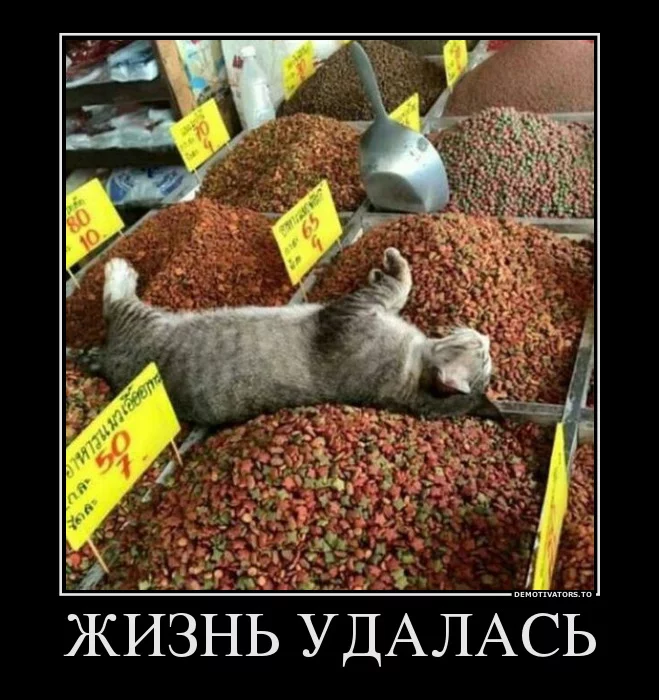 bh4bhd.webp