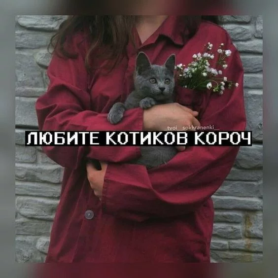 bh9cdd.webp