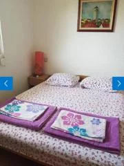 bhaca9.webp