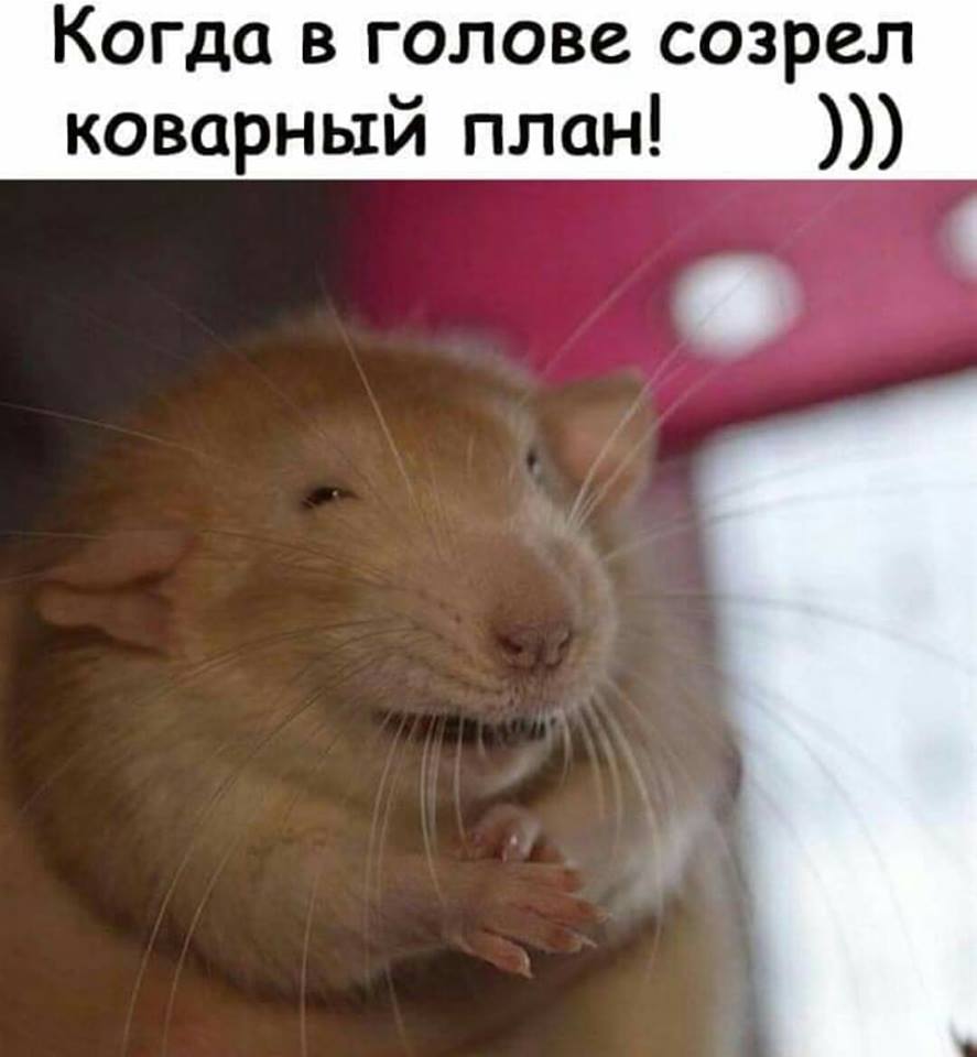 bhad8c.jpg