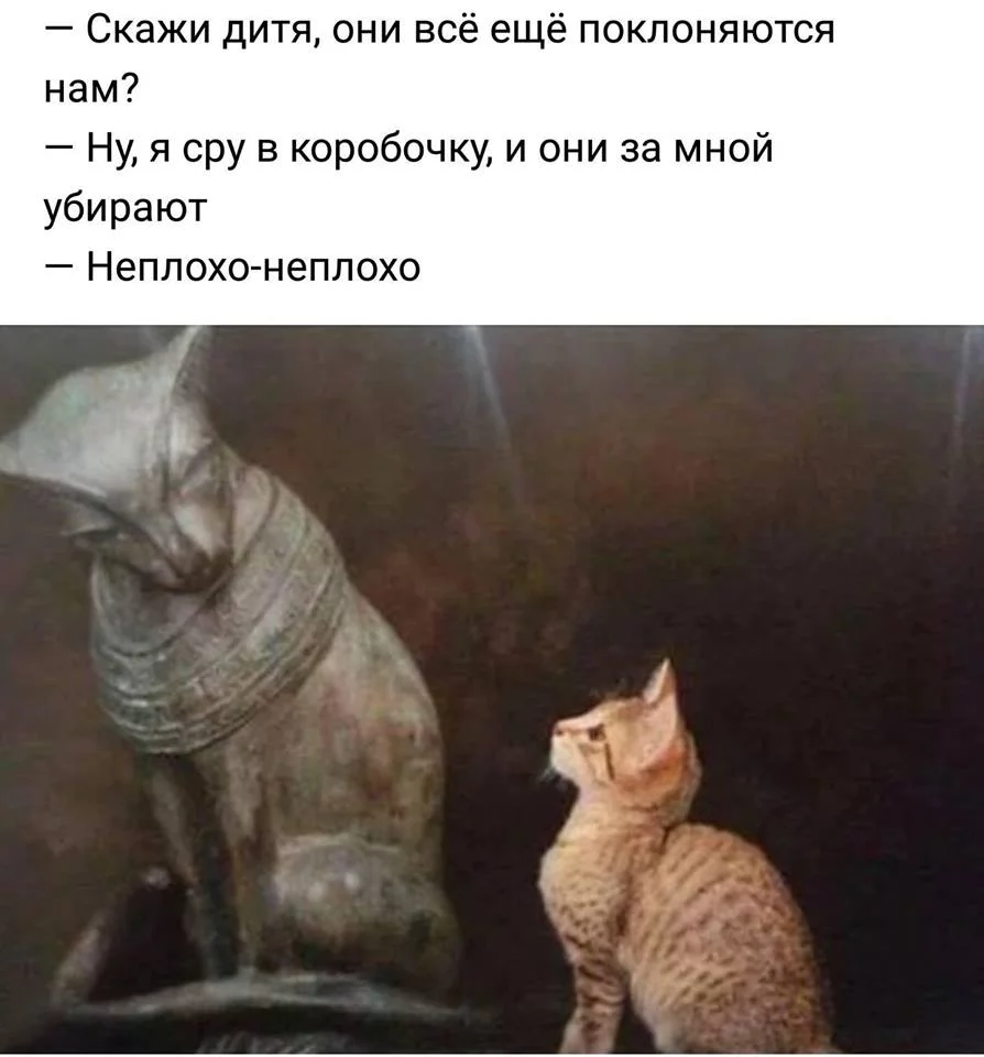 bhbh1c.webp