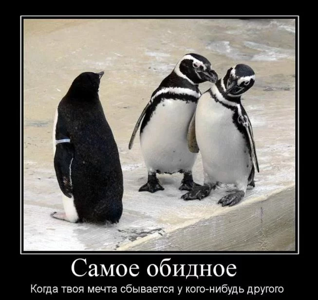 bhc8hc.webp