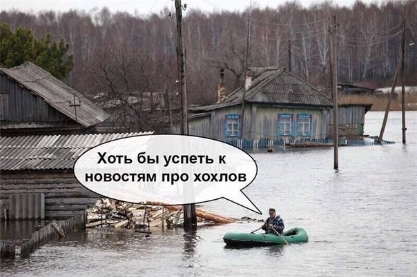 bhcg2g.webp