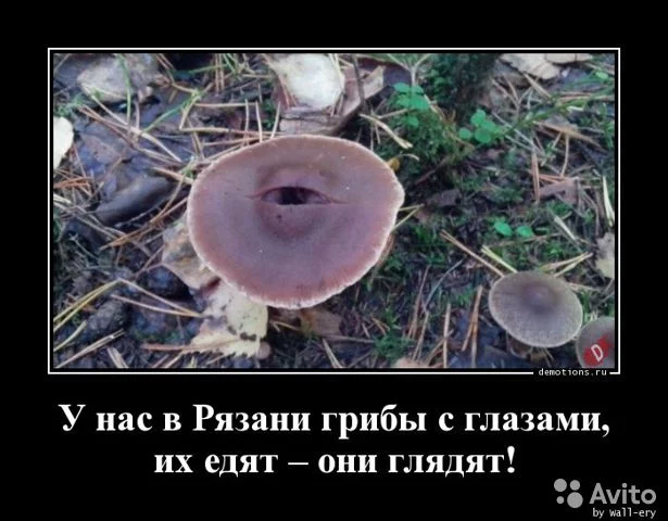 bhcjg7.webp