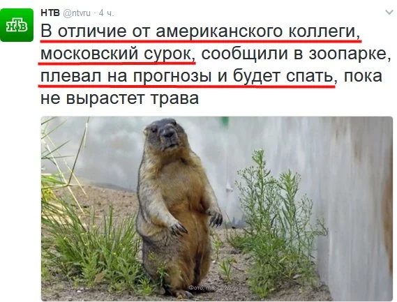 bhd9jh.webp