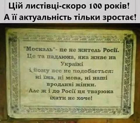 bhdcg2.webp