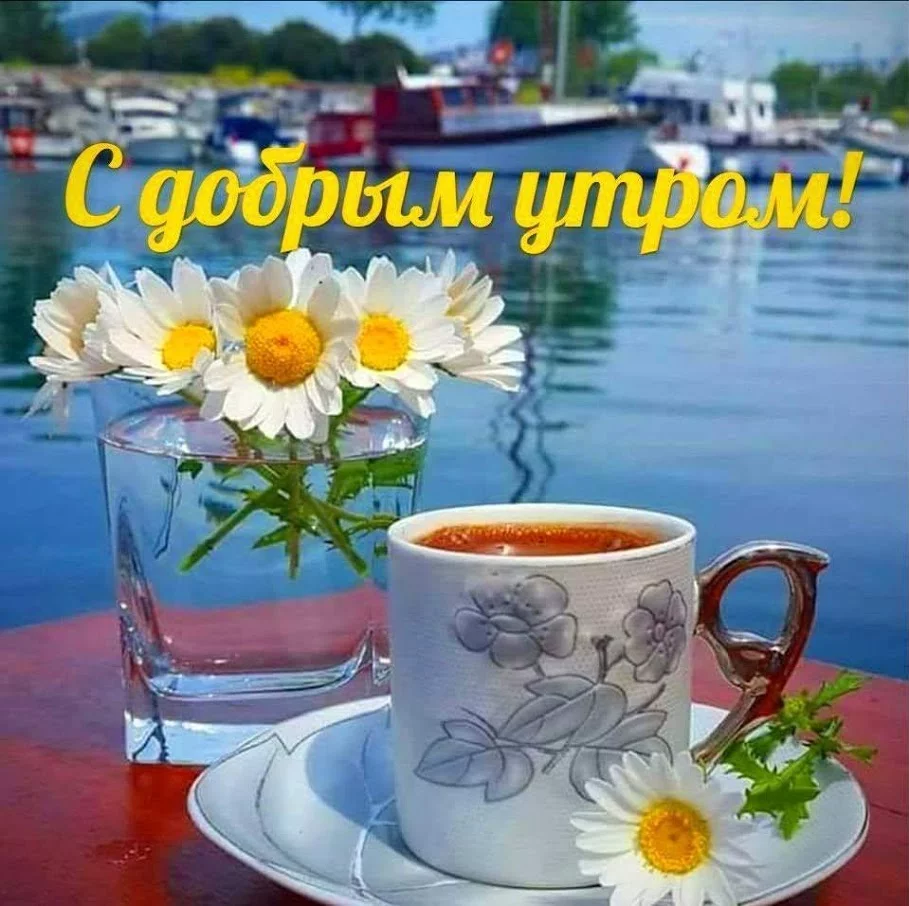 bhebc8.webp