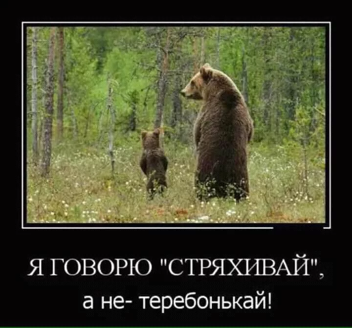 bhefa6.webp
