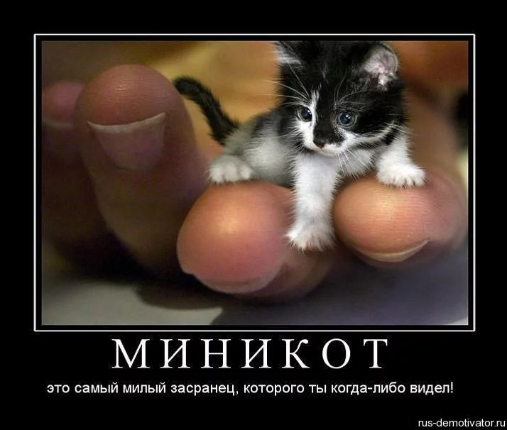 bhegf2.webp