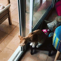 bhg.gif