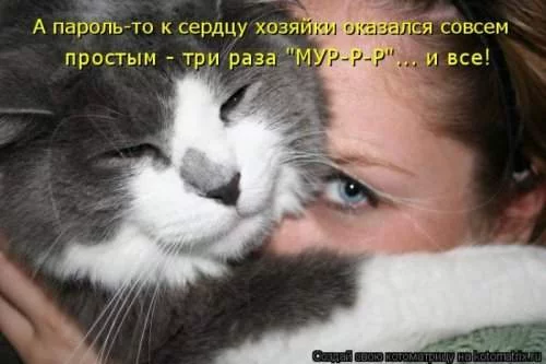 bhgbc4.webp