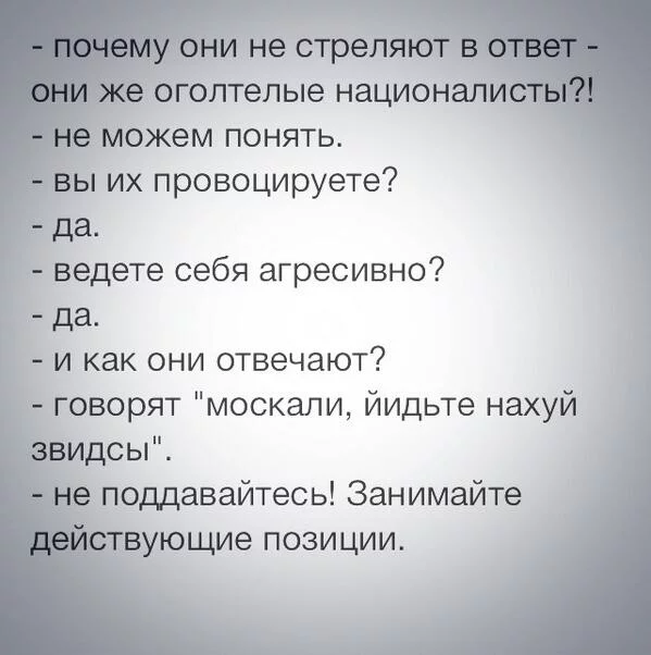 Bhq85veIAAAAqgk.webp