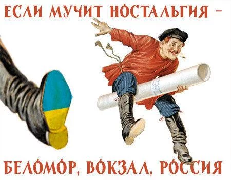 Bi8_l79CcAAR8c1.webp
