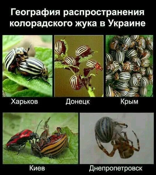 Bi8uUGTIMAAJ5t_%25255B1%25255D.webp