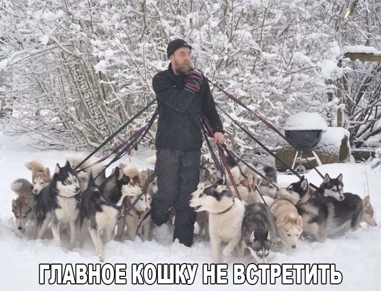 bi8wm3dgZSo.webp
