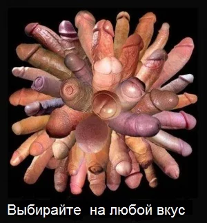 big.webp