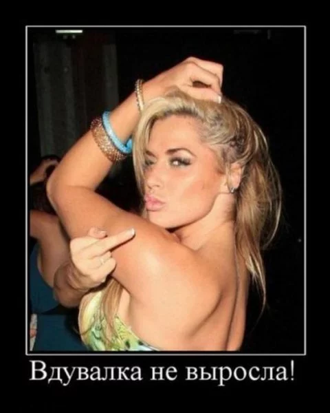 big.webp