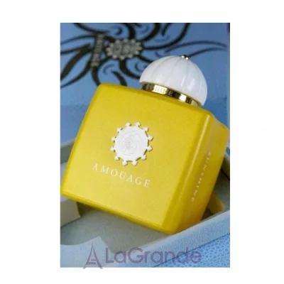 big_p4094_Amouage-Sunshine-Lower-Res.webp