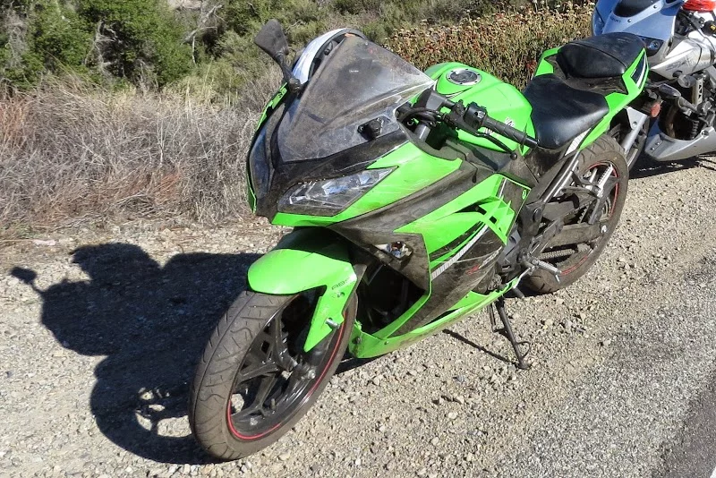 bike-back-on-road.webp