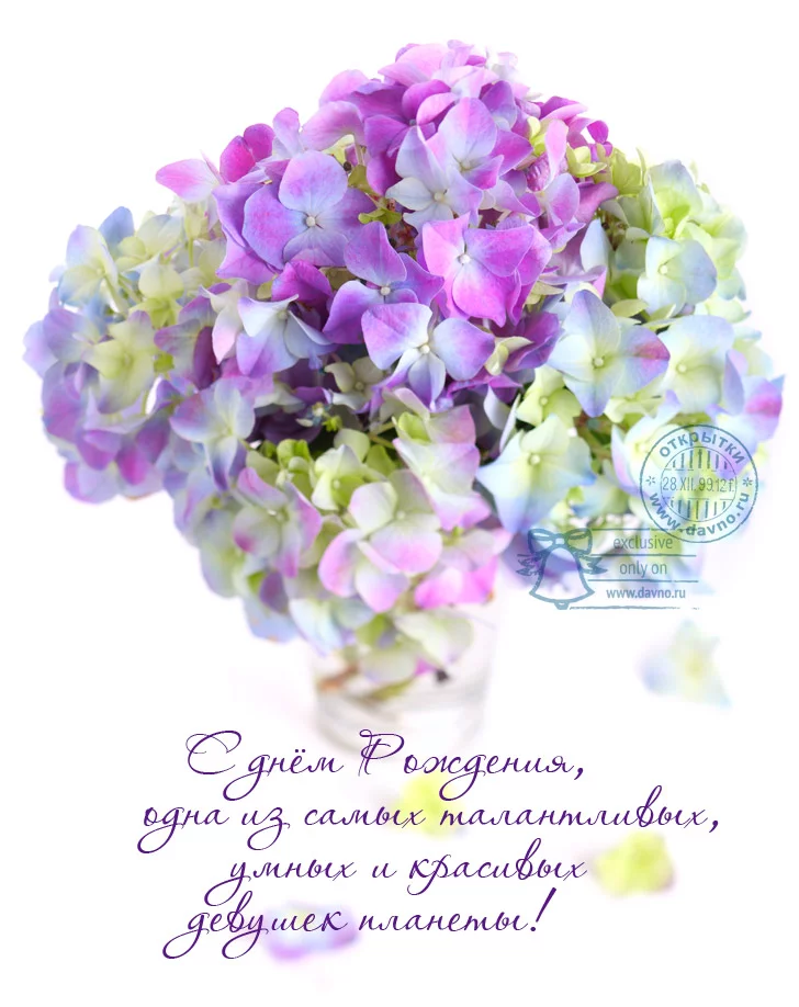birthday-176.webp