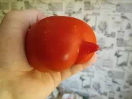 bj3dgj.webp