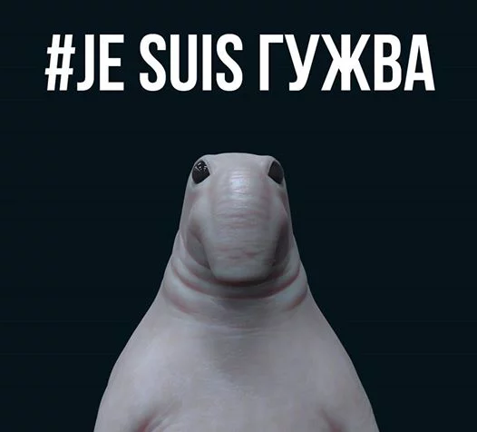 bj5fff.webp