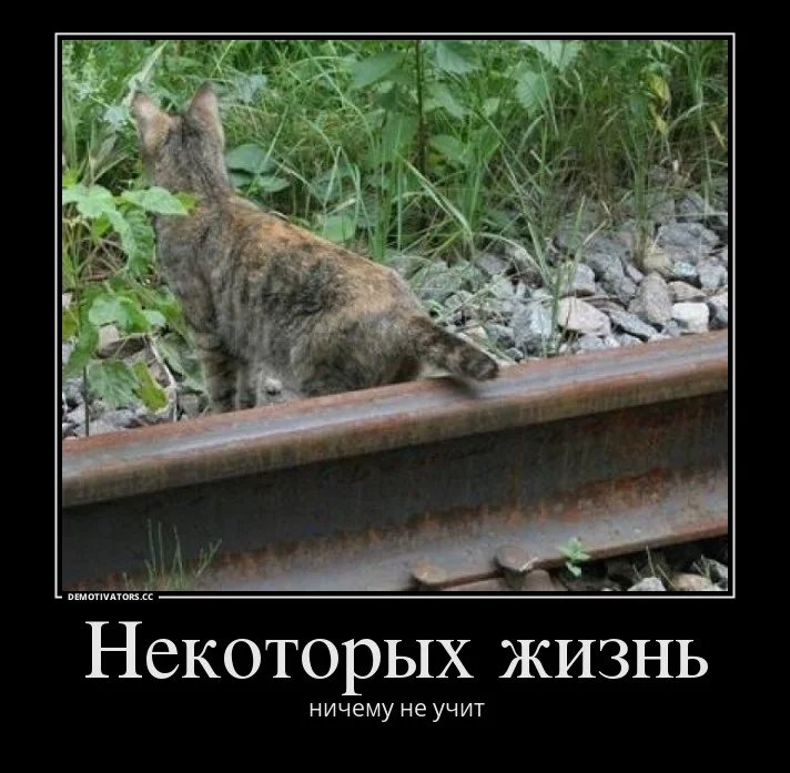 bj7jee.webp