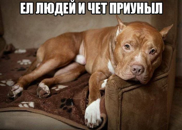 bjc8fg.webp