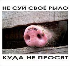 bjdd1b.webp