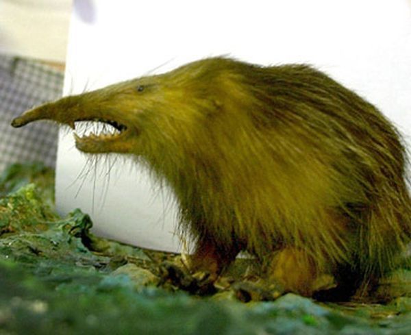 bjf6hf.jpg