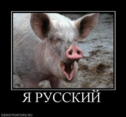 bjfa8g.webp