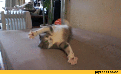 bjgf7c.gif