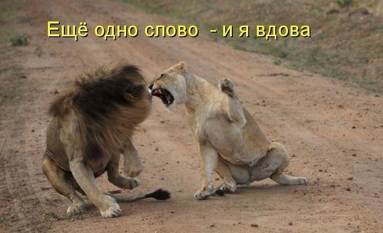 bjhe8j.jpg