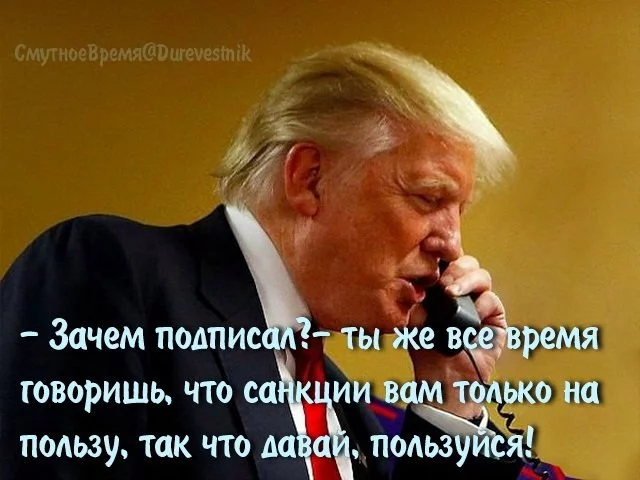 bjhfg7.webp