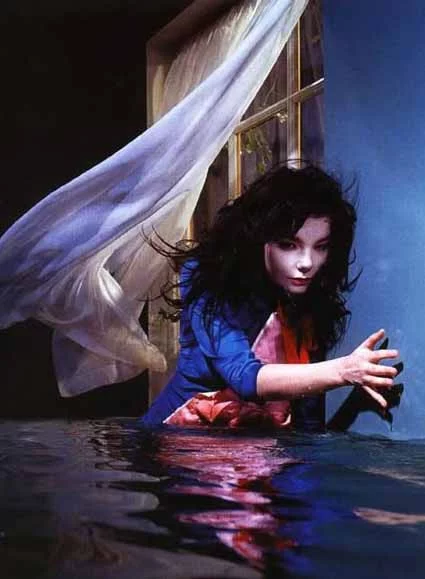 bjork011.webp