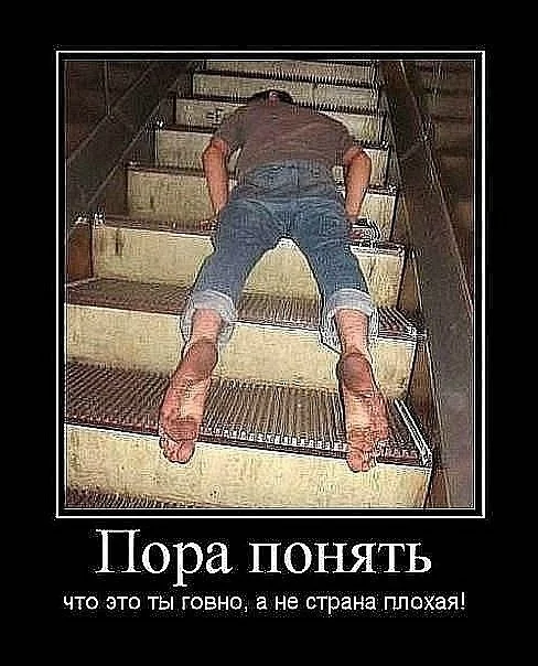 bju2KOkZWtw.webp