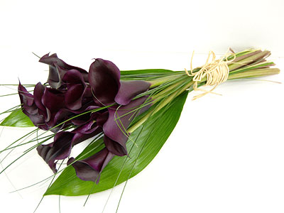 black-magic-calla-lilies.jpg