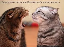 BLAGrEQ6fVDAXvmQkpgZpM6PigGrDv_rqmm5KUl2WqRiExDBKQ.webp