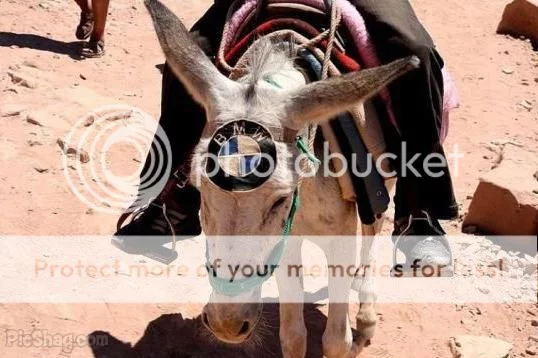 bmw-donkey.webp