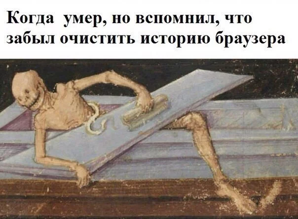 bNXpeYx8Eww.webp