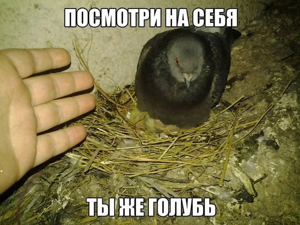 BoaynijbUo4.webp