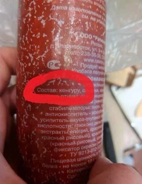 BoBOGYnIQAAXCNF.webp