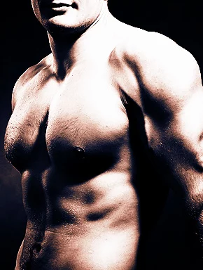 bodybuilding.webp